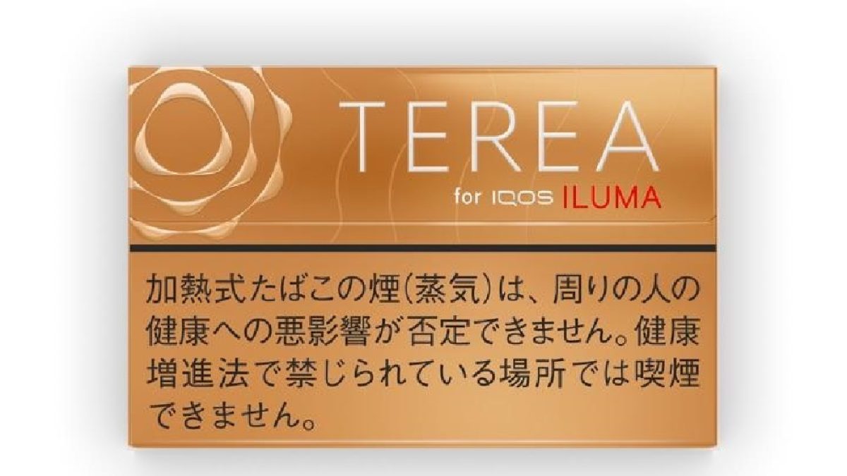 Terea Warm Regular Japan  