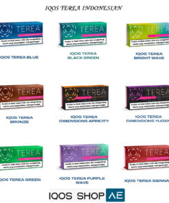 TEREA INDONESIAN