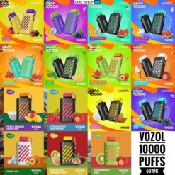 VOZOL GEAR 10000 PUFFS DISPOSABLE VAPE DUBAI
