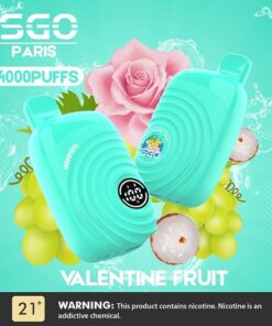 isgo-paris-14000-puffs-Valentine-fruit