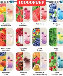 FUMMO SPIN 10000 PUFFS DISPOSABLE VAPE IN DUBAI