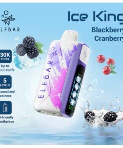 ELFBAR ICE KING 30000 PUFFS VAPE IN DUBAI
