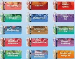 ELFBAR ICE KING 30000 PUFFS VAPE IN DUBAI