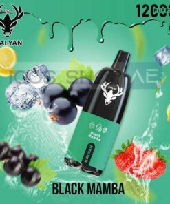 KALYAN 12000 PUFFS VAPE IN DUBAI