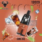 KALYAN 12000 PUFFS VAPE IN DUBAI