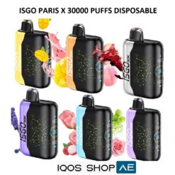 Alternative view of ISGO PARIS X 30000 PUFFS DISPOSABLE VAPE IN UAE