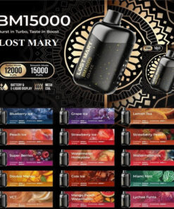 Lost Mary BM15000