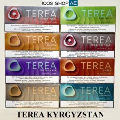 Alternative view of TEREA KYRGYZSTAN IN DUBAI