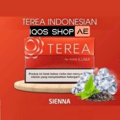 Alternative view of TEREA INDONESIAN SIENNA