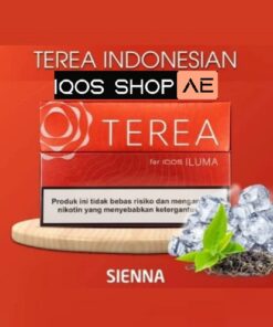 Alternative view of TEREA INDONESIAN SIENNA