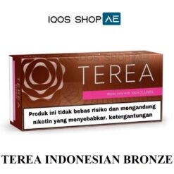 TEREA INDONESIAN BRONZE