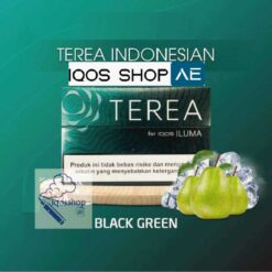 Alternative view of TEREA INDONESIAN BLACK GREEN
