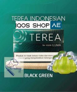 Alternative view of TEREA INDONESIAN BLACK GREEN