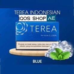 Alternative view of TEREA INDONESIAN BLUE