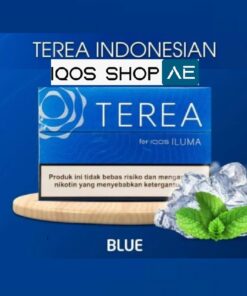Alternative view of TEREA INDONESIAN BLUE