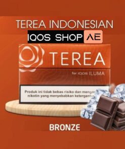 Alternative view of TEREA INDONESIAN BRONZE