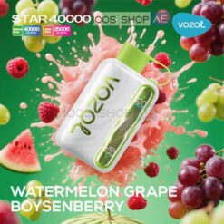 VOZOL STAR 40000 PUFFS DISPOSABLE VAPE